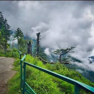 Meet your Posher, Ayesha